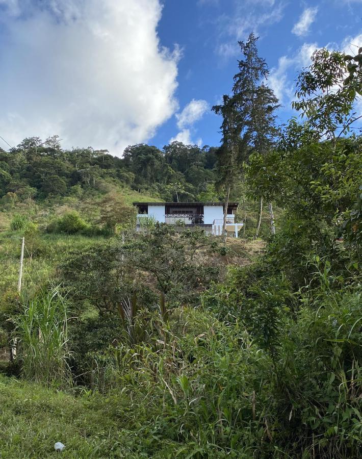 Arte De Plumas Birding Lodge Cartago Eksteriør bilde