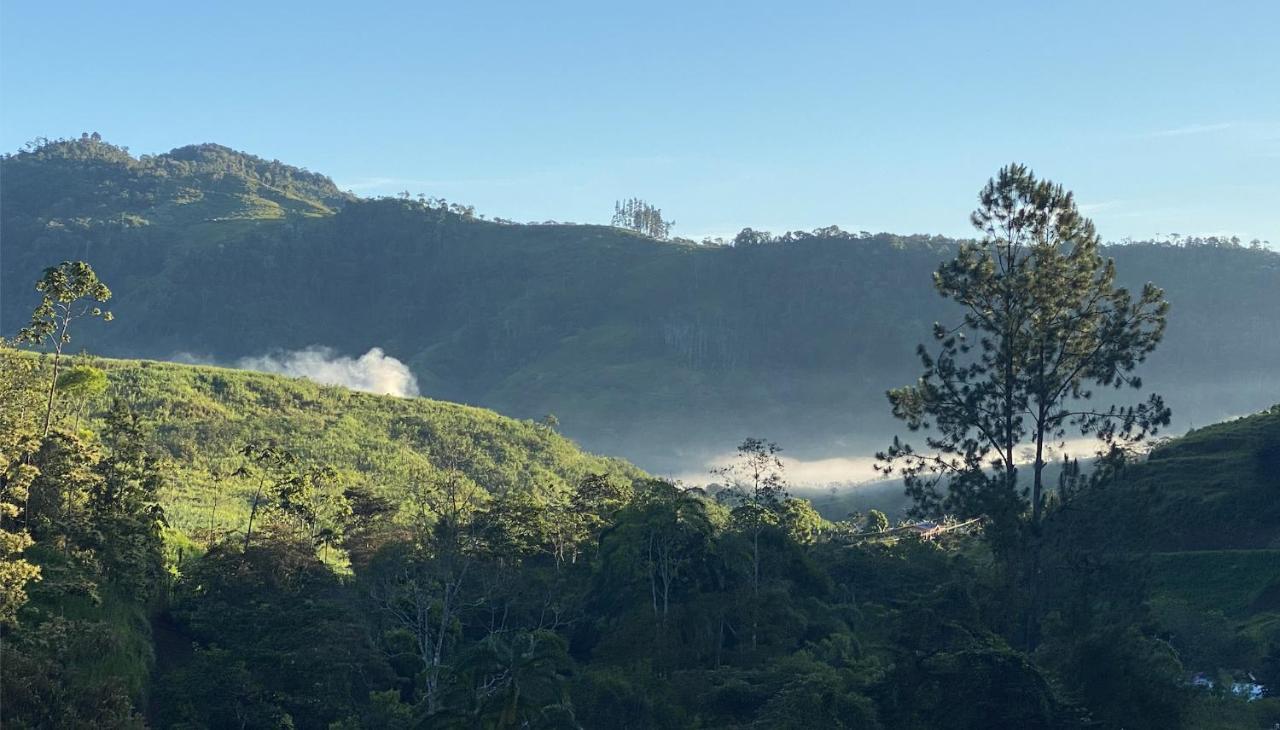 Arte De Plumas Birding Lodge Cartago Eksteriør bilde