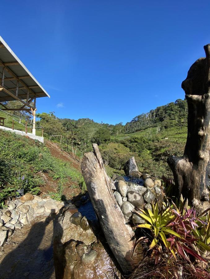 Arte De Plumas Birding Lodge Cartago Eksteriør bilde