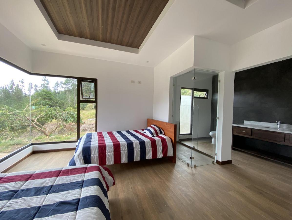 Arte De Plumas Birding Lodge Cartago Eksteriør bilde
