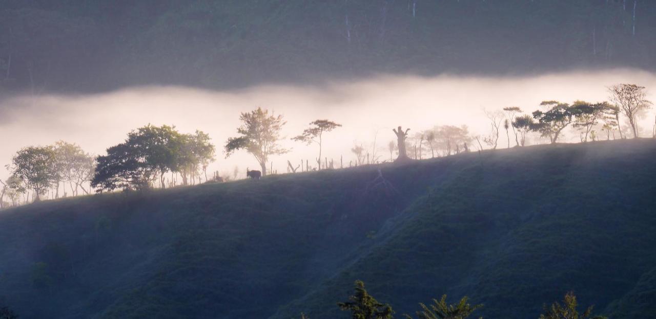 Arte De Plumas Birding Lodge Cartago Eksteriør bilde