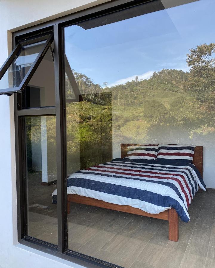 Arte De Plumas Birding Lodge Cartago Eksteriør bilde
