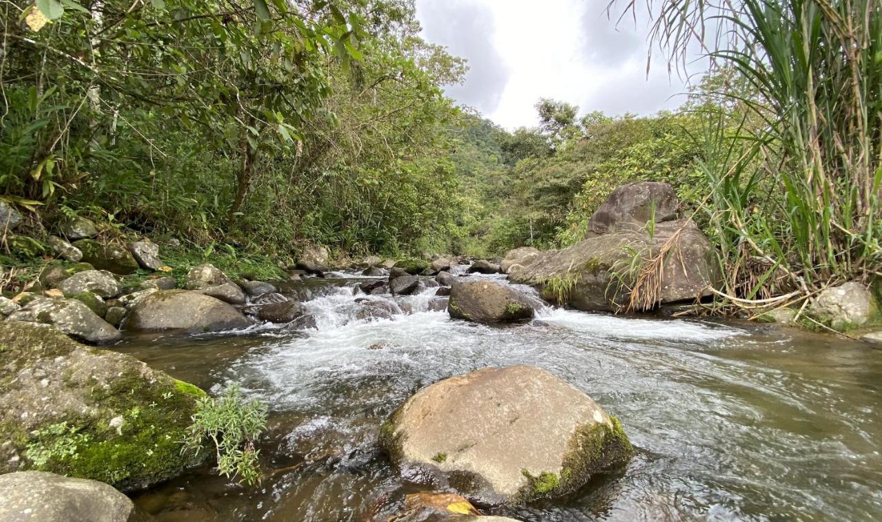 Arte De Plumas Birding Lodge Cartago Eksteriør bilde