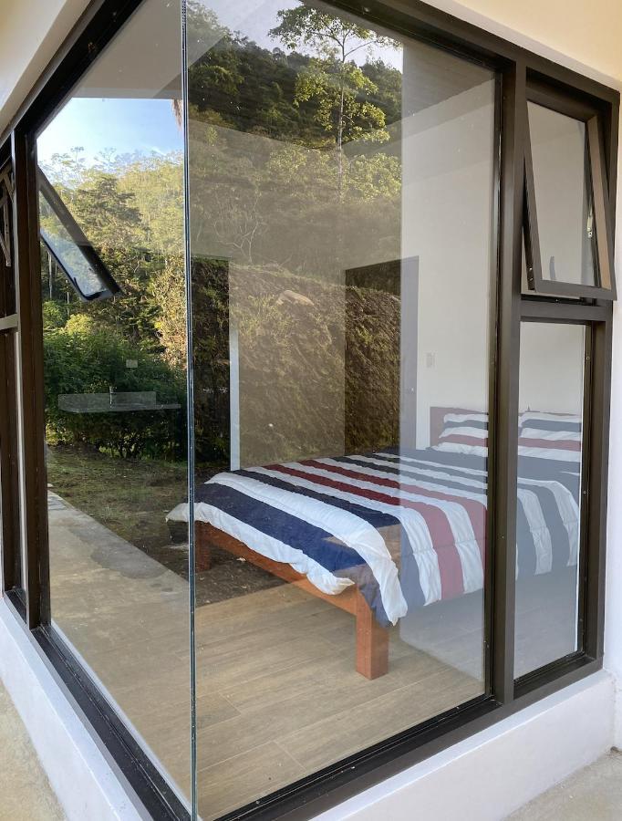 Arte De Plumas Birding Lodge Cartago Eksteriør bilde